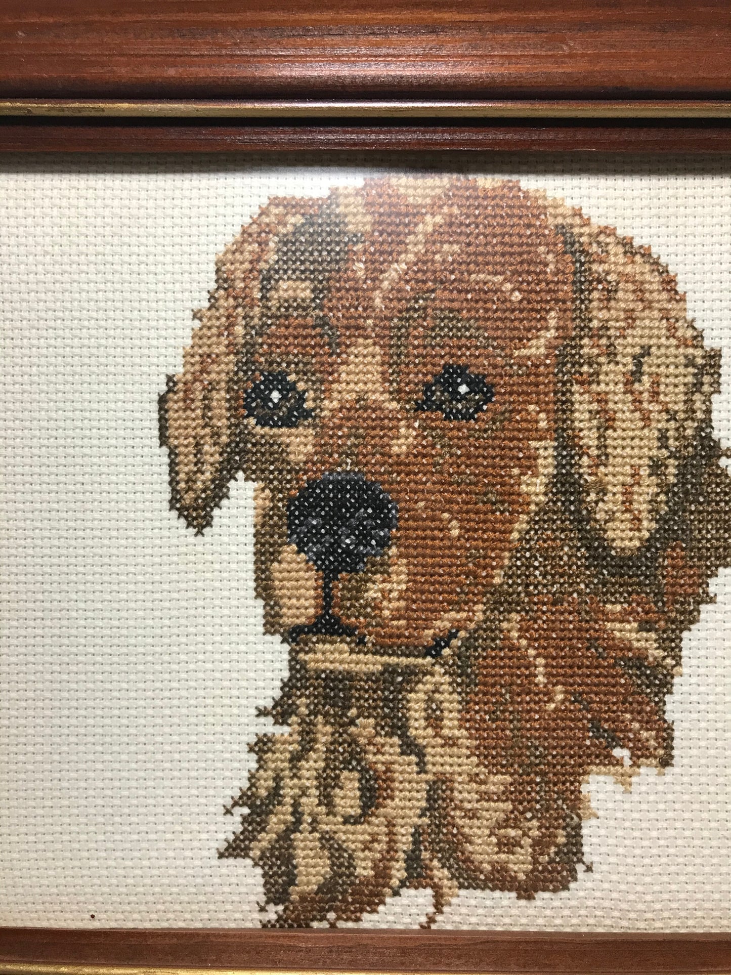 Labrador Retriever Needle Point in Wooden Frame