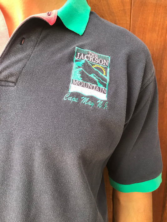 Vintage "The Jackson Mountain Cape May" Color-Block Polo (Size L)