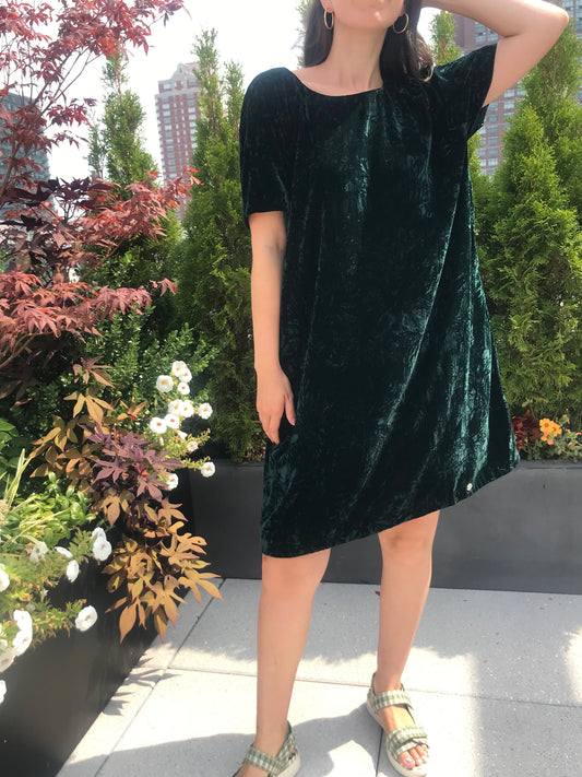 NWT Royal Emerald Super Dry Goods Crushed Velvet Dress (Size 10)