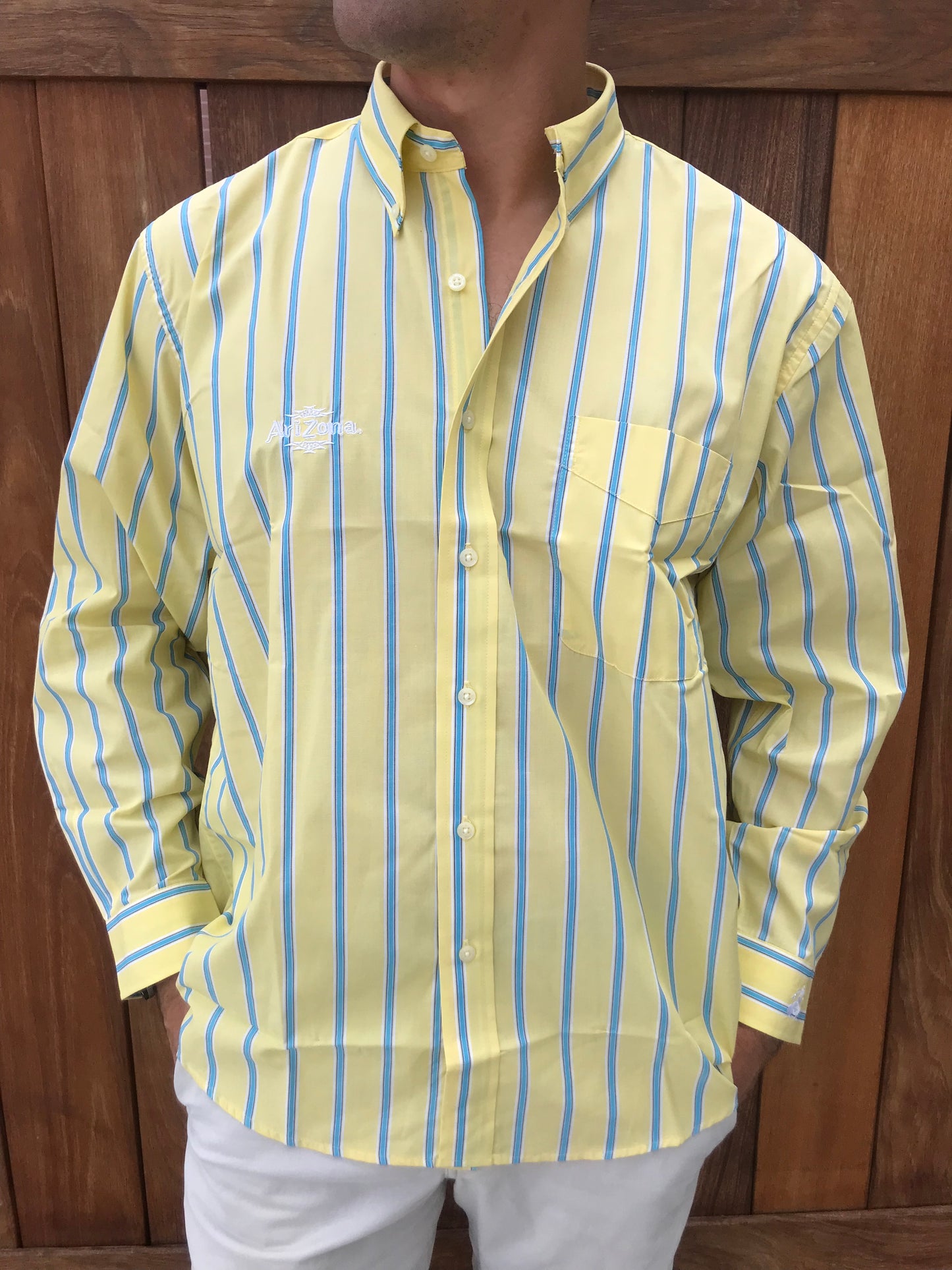 NWT Arizona Iced Tea Striped Button-Down Shirt (Size L)